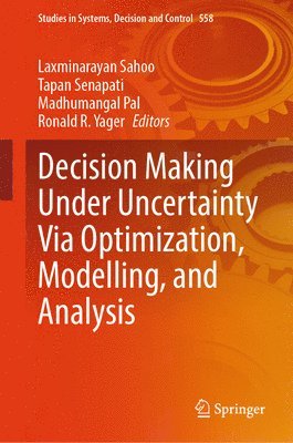 bokomslag Decision Making Under Uncertainty Via Optimization, Modelling, and Analysis