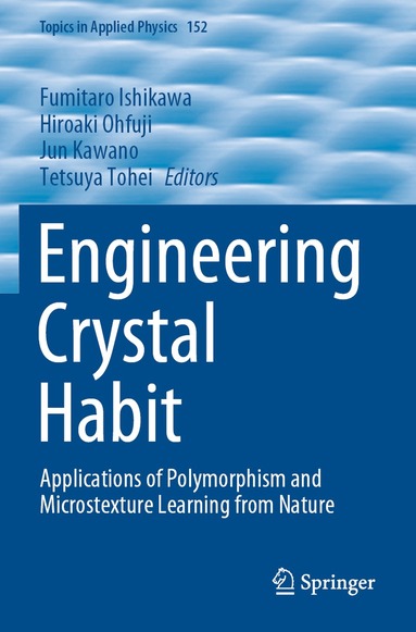 Fumitaro Ishikawa, Hiroaki Ohfuji, Jun Kawano, Tetsuya Tohei - Engineering Crystal Habit, Häftad
