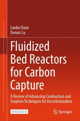 Lunbo Duan, Dennis Lu - Fluidized Bed Reactors for Carbon Capture, Inbunden