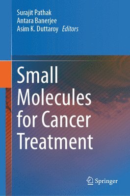 bokomslag Small Molecules for Cancer Treatment