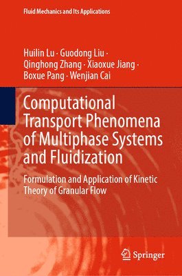 bokomslag Computational Transport Phenomena of Multiphase Systems and Fluidization