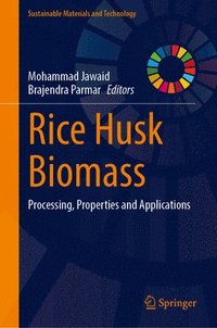 bokomslag Rice Husk Biomass