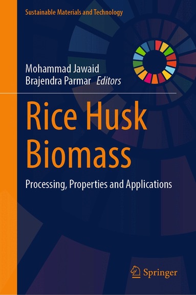 Mohammad Jawaid, Brajendra Parmar - Rice Husk Biomass, Inbunden