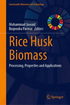 Rice Husk Biomass 1