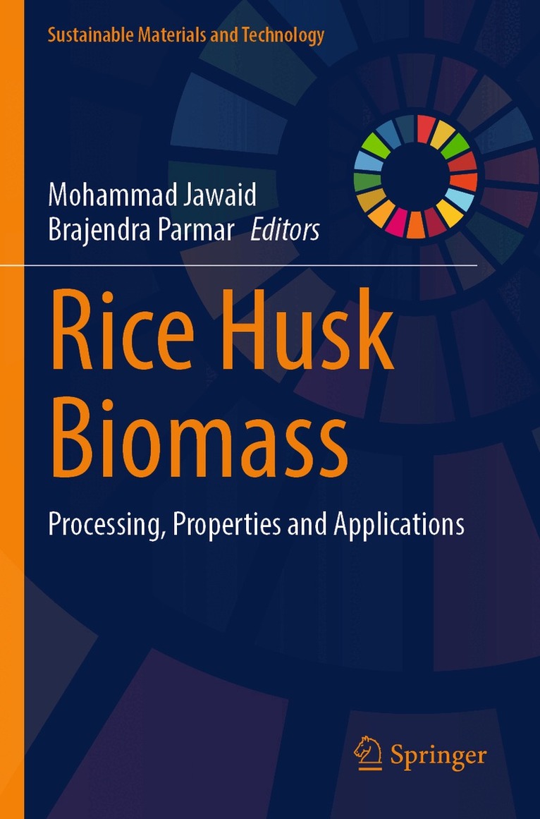 Mohammad Jawaid, Brajendra Parmar - Rice Husk Biomass, Häftad