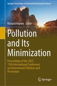 bokomslag Pollution and Its Minimization