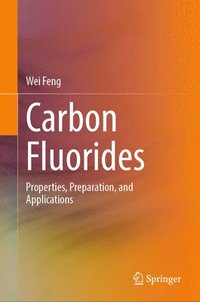 bokomslag Carbon Fluorides