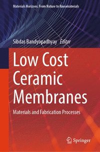 bokomslag Low Cost Ceramic Membranes