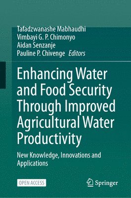 bokomslag Enhancing Water and Food Security Through Improved Agricultural Water Productivity