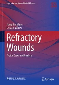 bokomslag Refractory Wounds