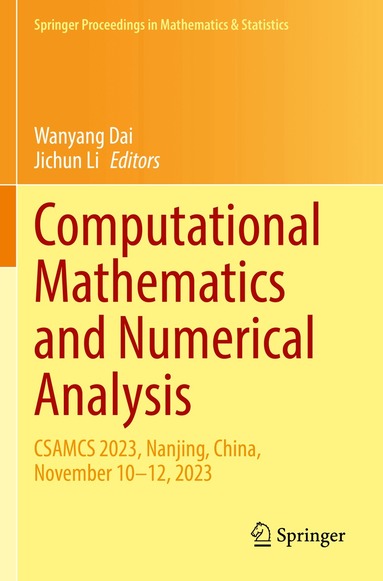 Wanyang Dai, Jichun Li - Computational Mathematics and Numerical Analysis, Häftad