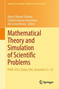 bokomslag Mathematical Theory and Simulation of Scientific Problems