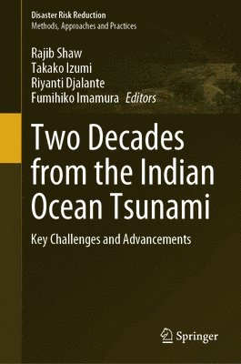 bokomslag Two Decades from the Indian Ocean Tsunami