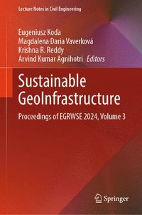 bokomslag Sustainable GeoInfrastructure