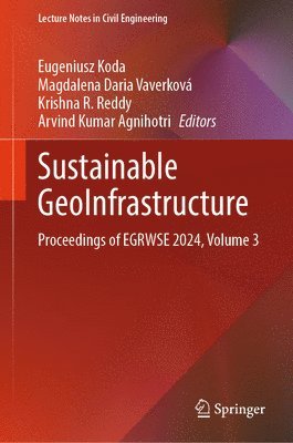 bokomslag Sustainable GeoInfrastructure