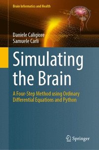 bokomslag Simulating the Brain