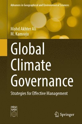 bokomslag Global Climate Governance