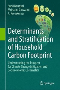 bokomslag Determinants and Stratification of Household Carbon Footprint