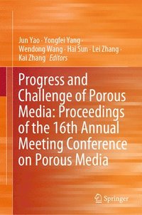 bokomslag Progress and Challenge of Porous Media: Proceedings of the 16th Annual Meeting Conference on Porous Media