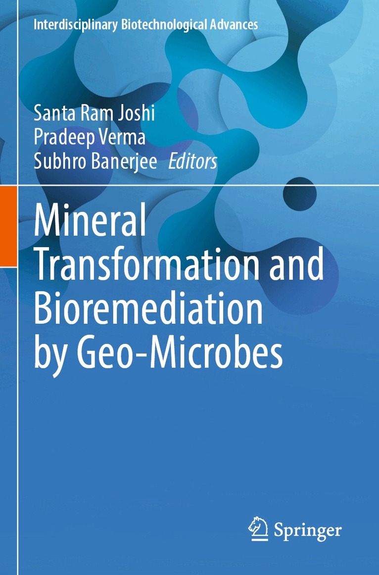 Santa Ram Joshi, Pradeep Verma, Subhro Banerjee - Mineral Transformation and Bioremediation by Geo-Microbes, Häftad