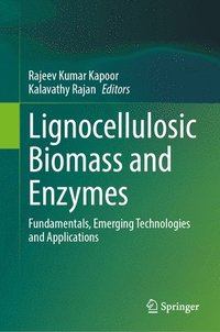 bokomslag Lignocellulosic Biomass and Enzymes