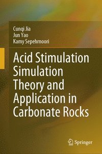 bokomslag Acid Stimulation Simulation Theory and Application in Carbonate Rocks
