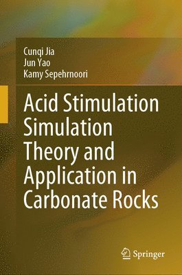 bokomslag Acid Stimulation Simulation Theory and Application in Carbonate Rocks