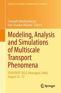 bokomslag Modeling, Analysis and Simulations of Multiscale Transport Phenomena