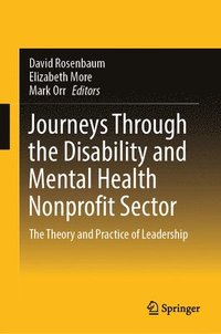 bokomslag Journeys Through the Disability and Mental Health Nonprofit Sector