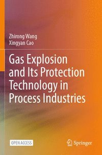 bokomslag Gas Explosion and Its Protection Technology in Process Industries