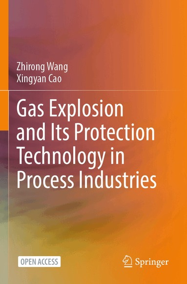 Zhirong Wang, Xingyan Cao - Gas Explosion and Its Protection Technology in Process Industries, Häftad