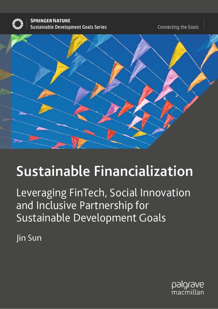 Jin Sun - Sustainable Financialization, Inbunden