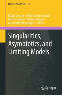 bokomslag Singularities, Asymptotics, and Limiting Models