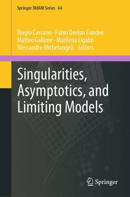 bokomslag Singularities, Asymptotics, and Limiting Models