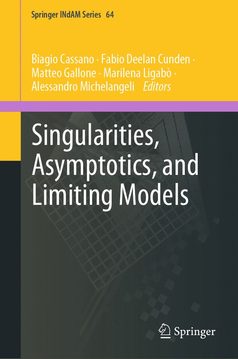 Biagio Cassano, Fabio Deelan Cunden, Matteo Gallone, Marilena Ligabò, Alessandro Michelangeli - Singularities, Asymptotics, and Limiting Models, Inbunden