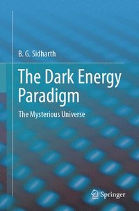 bokomslag Dark Energy Paradigm