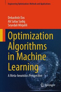 bokomslag Optimization Algorithms in Machine Learning