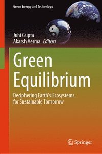 bokomslag Green Equilibrium