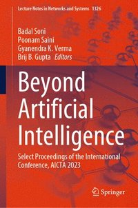 bokomslag Beyond Artificial Intelligence