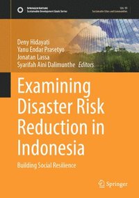bokomslag Examining Disaster Risk Reduction in Indonesia