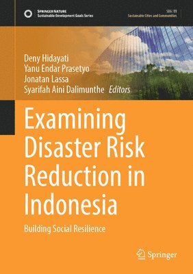 bokomslag Examining Disaster Risk Reduction in Indonesia