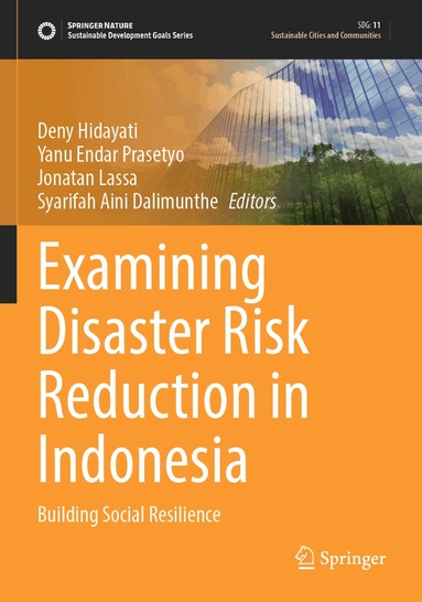 Deny Hidayati, Yanu Endar Prasetyo, Jonatan Lassa, Syarifah Aini Dalimunthe - Examining Disaster Risk Reduction in Indonesia, Häftad