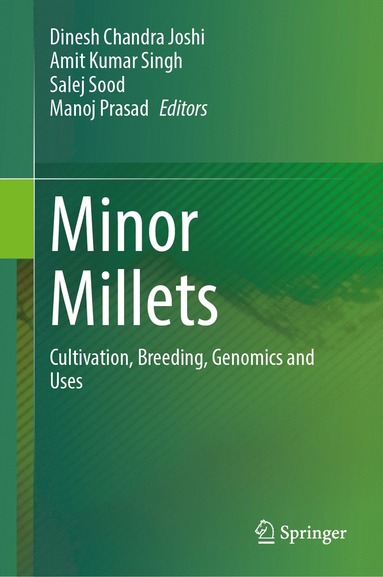 bokomslag Minor Millets