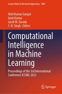 bokomslag Computational Intelligence in Machine Learning