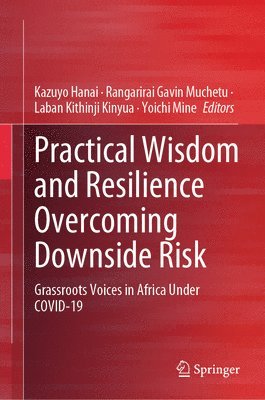 bokomslag Practical Wisdom and Resilience Overcoming Downside Risk