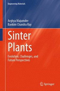 bokomslag Sinter Plants