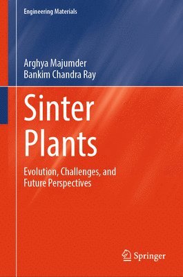 Sinter Plants 1