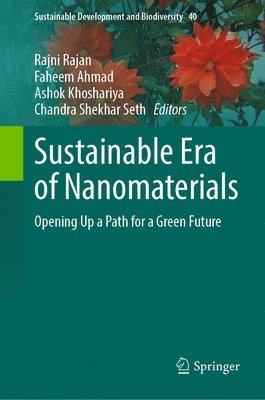 bokomslag Sustainable Era of Nanomaterials