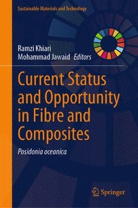 bokomslag Current Status and Opportunity in Fibre and Composites