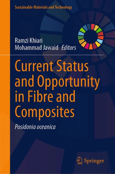 Ramzi Khiari, Mohammad Jawaid - Current Status and Opportunity in Fibre and Composites, Inbunden